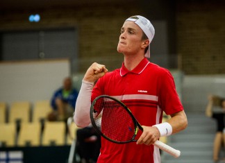Mikael Torpegaard, Davis Cup