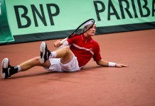 Mikael Torpegaard, Davis Cup