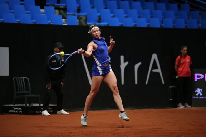 WTA Istanbul Cup: Wozniacki måtte trække sig med maveproblem